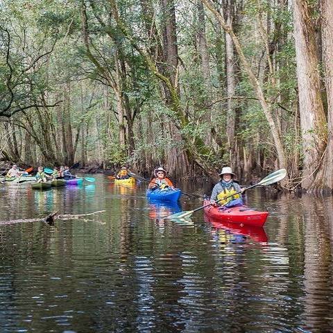 edisto canoe trip