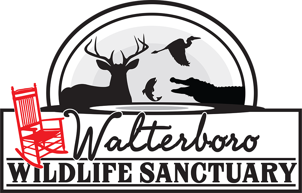 New Attractions at the Walterboro Wildlife Sanctuary Walterboro, SC